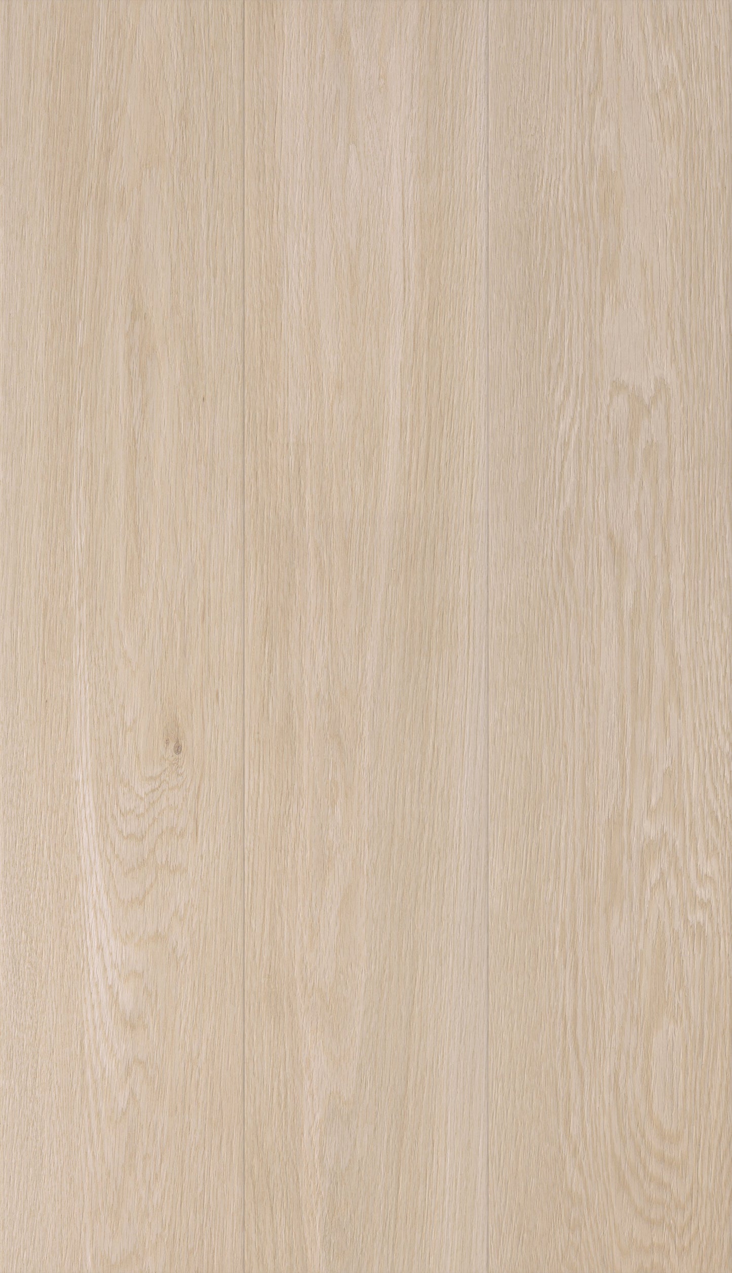 Arce Maple 9x48 Matte