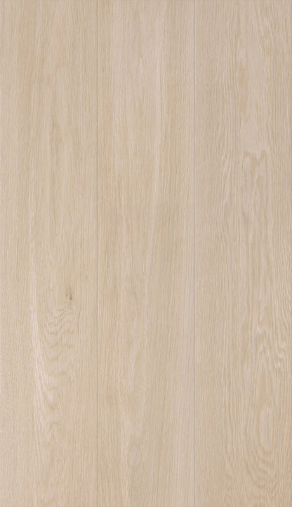 Arce Maple 9x48 Matte