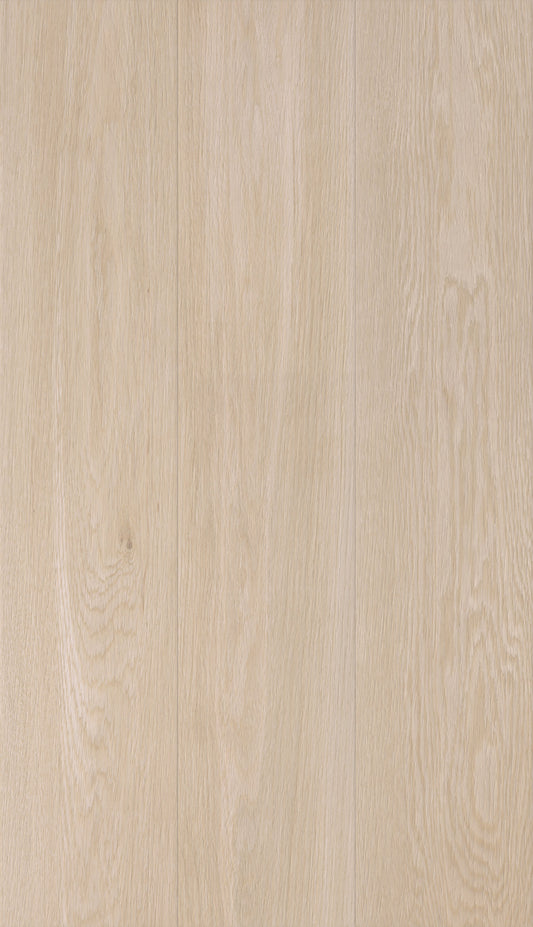 Arce Maple 9x48 Matte