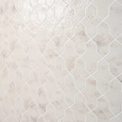 Seashell White Polished