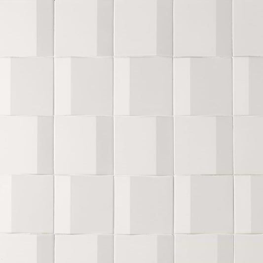 3D White 5X5 Matte