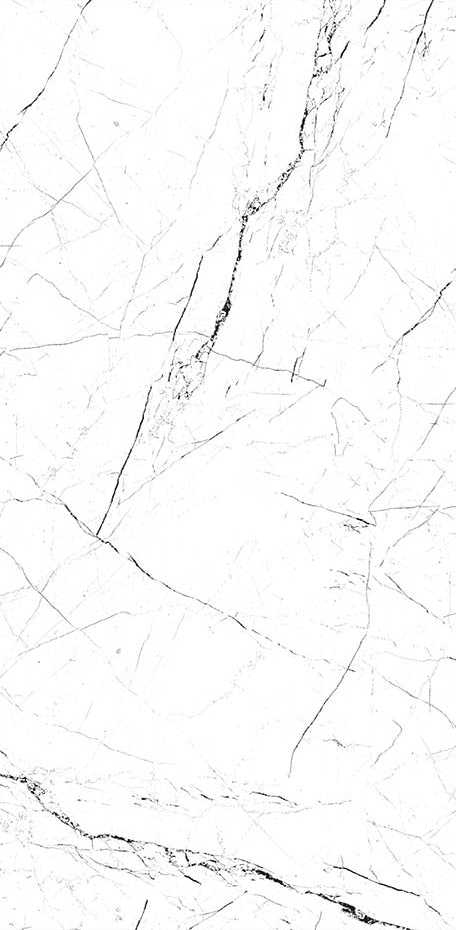 White Marble 24x48 Polished