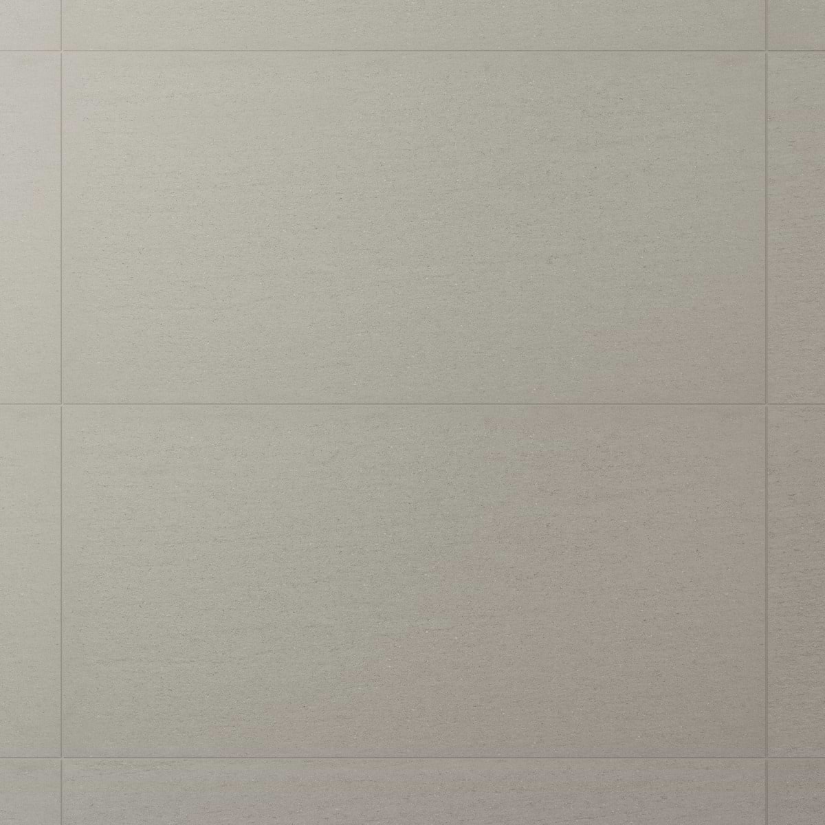 Tectonic Silver Gray 24X48 Matte