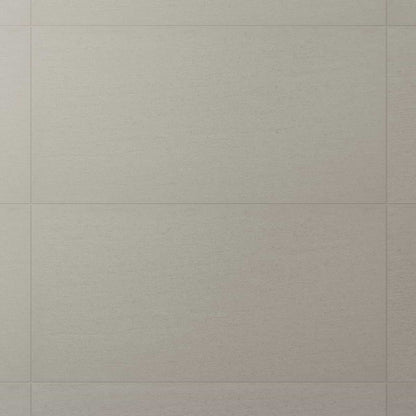 Tectonic Silver Gray 24X48 Matte