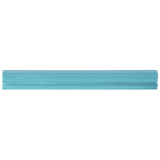 Aquamarine Trim 1X10