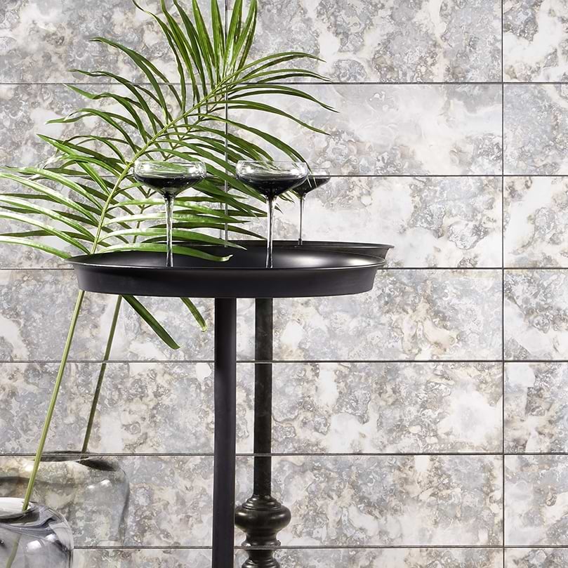 Argenta 6X18 Polished