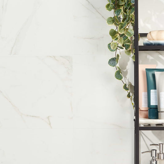 Calacatta 12X24 Polished