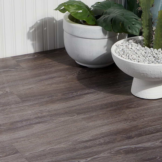 Lenox 6X48 Matte (discontinued)