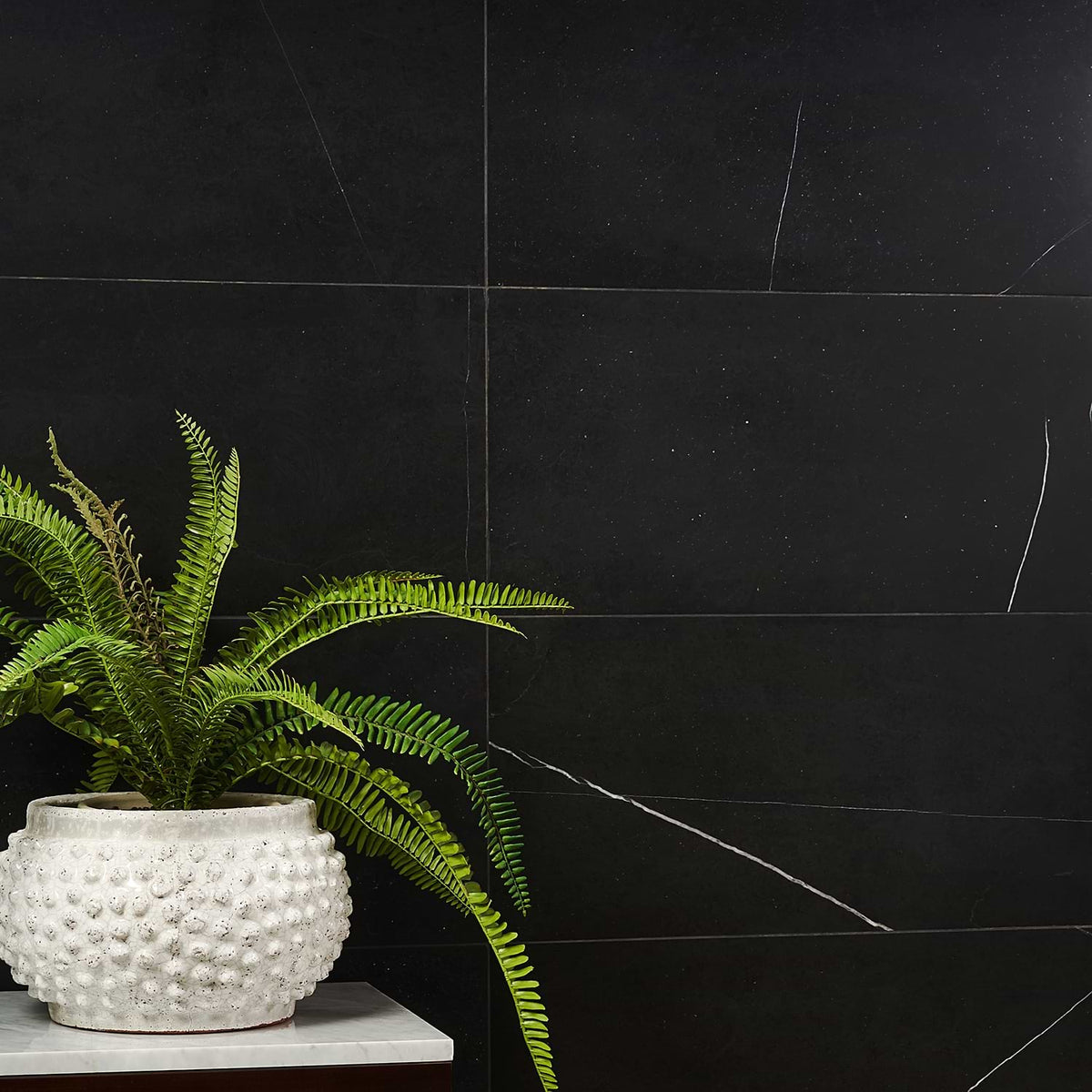 Nero Marquina 12X24 Honed