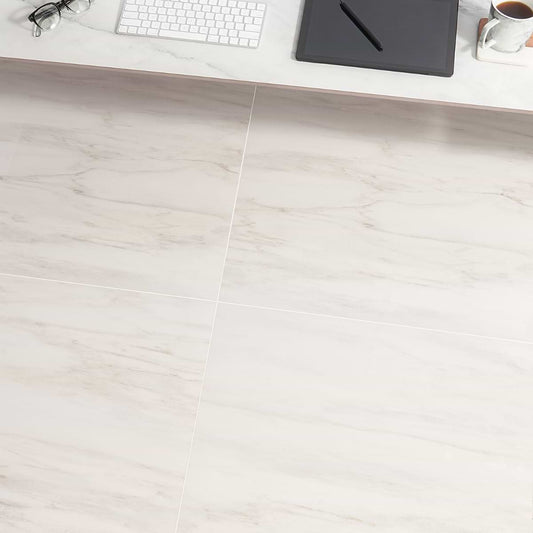 Dolomite Snow 24X24 Polished (discontinued)