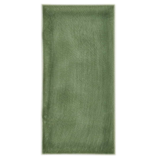 Fern Green Subway 4.5X9 Polished
