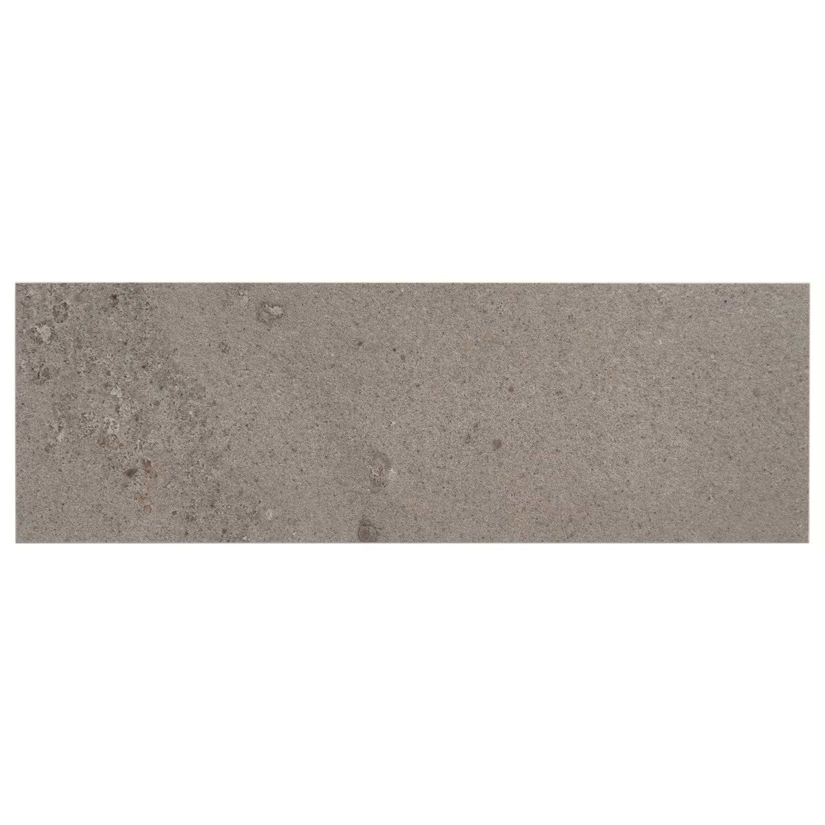 Taupe Gray 4X12 Matte