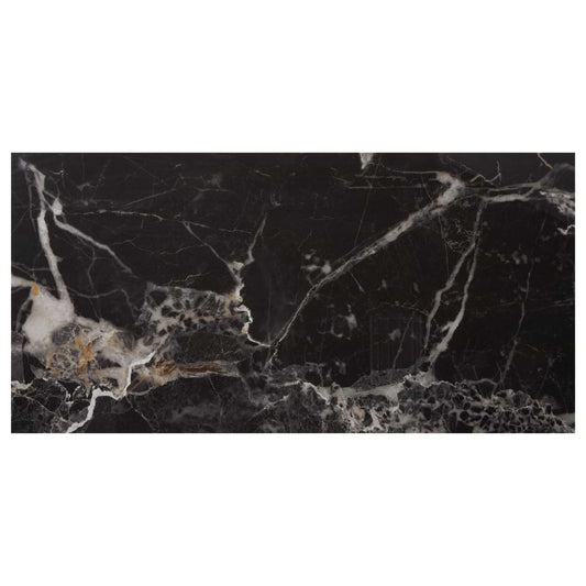 Black Gold 24X48 Polished