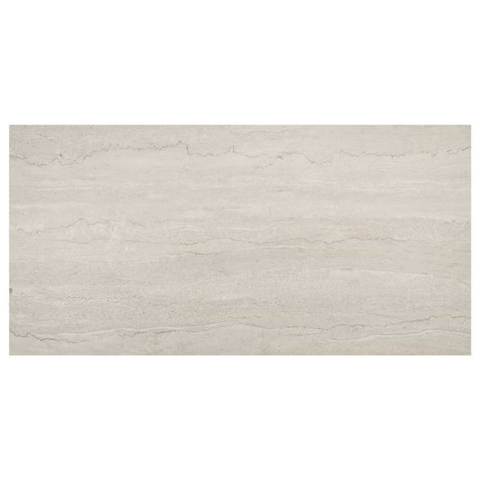 Basino Gray 24X48 Matte