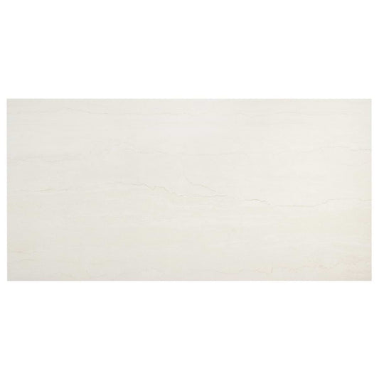 Basino White 24X48 Matte