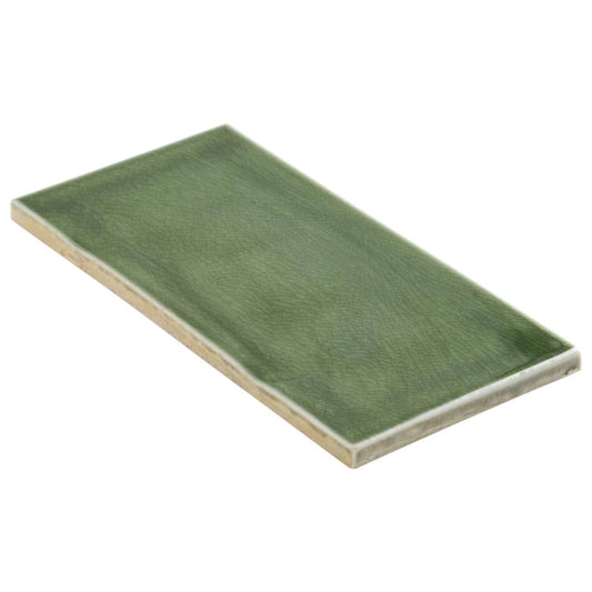 Fern Green Subway 4.5X9 Polished