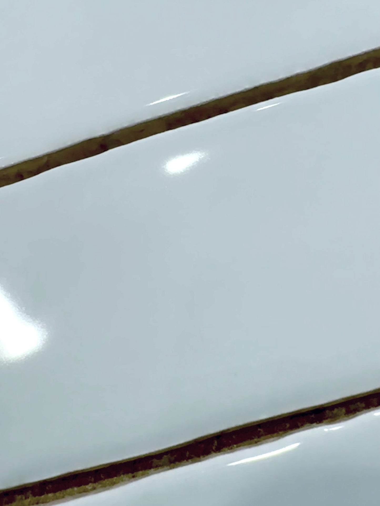 Duck Egg 2x10