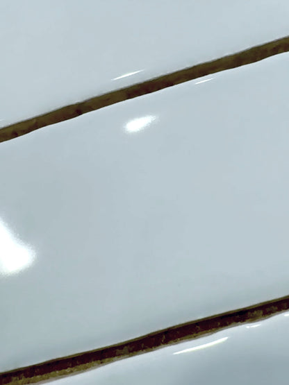 Duck Egg 2x10