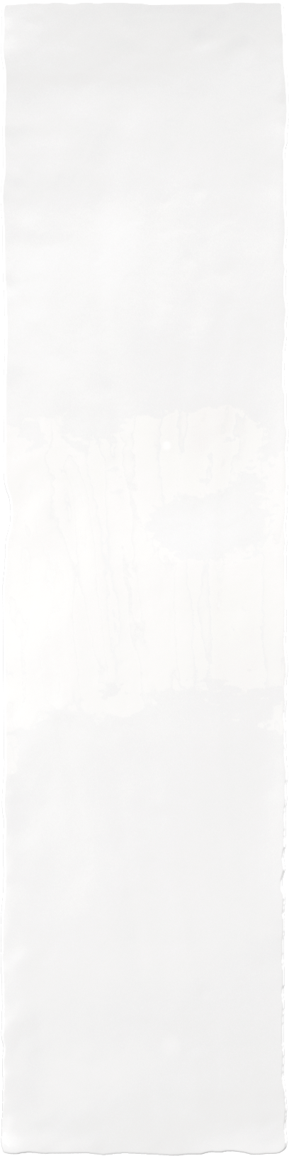 Snow 2x10