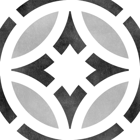 Star 6X6
