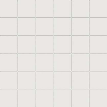 True White 2x2