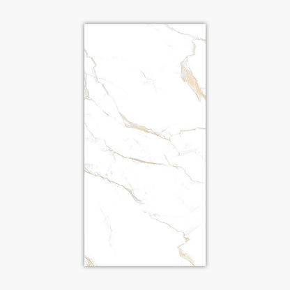 Calacatta 24x48 Matte