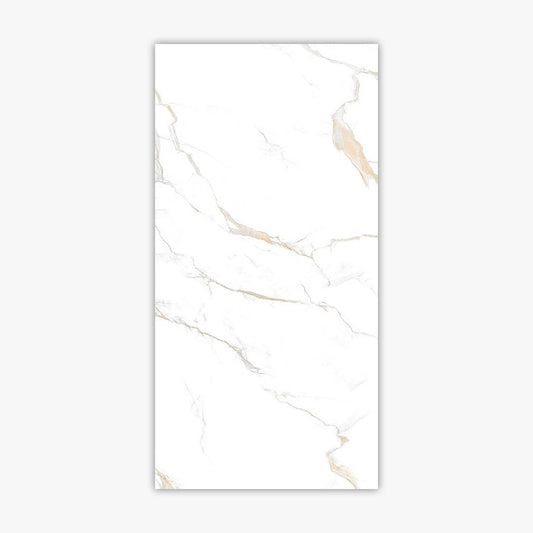 Calacatta Gold 24x48 Polished