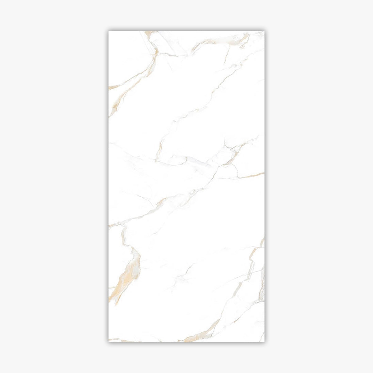 Calacatta Gold Matte 24x48