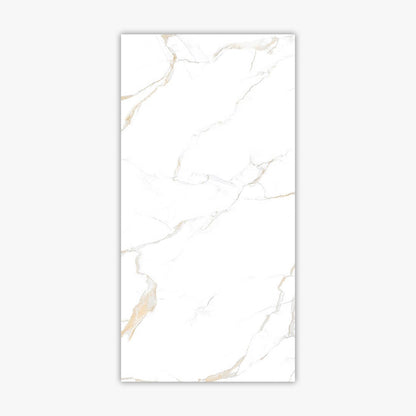 Calacatta 24x48 Special Effect