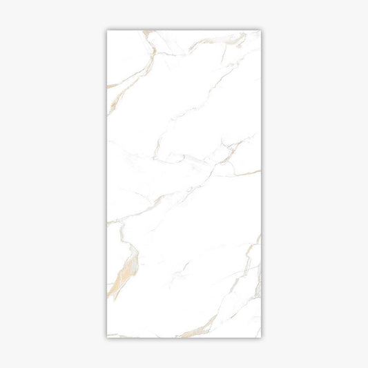Calacatta Gold Matte 24x48