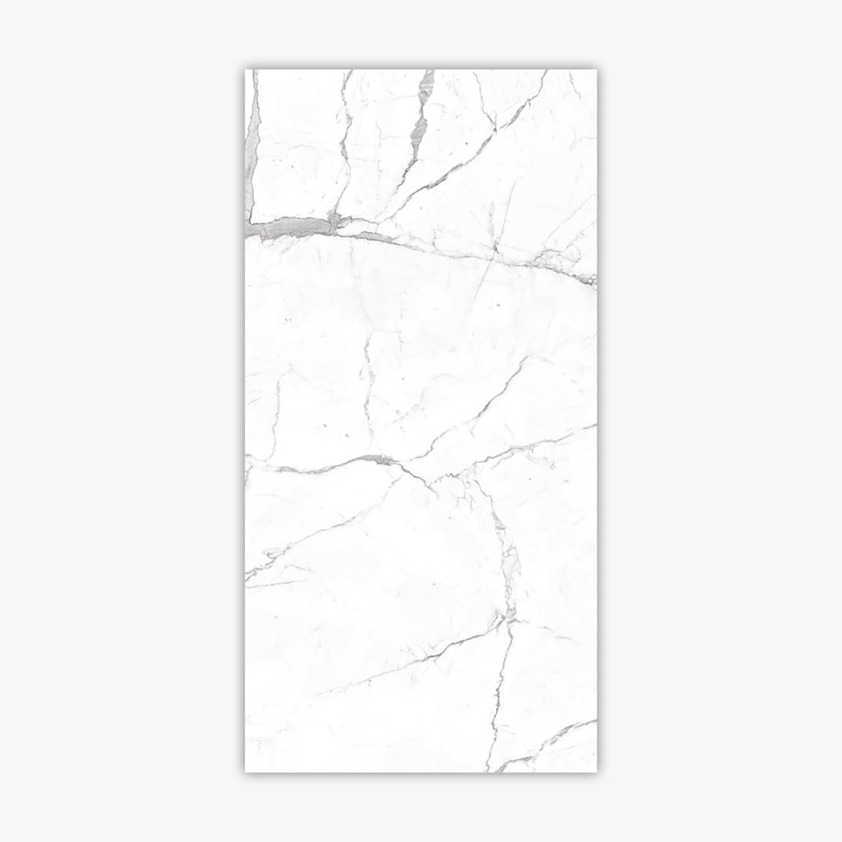 Calacatta Pearl 12x24 Satin Matte