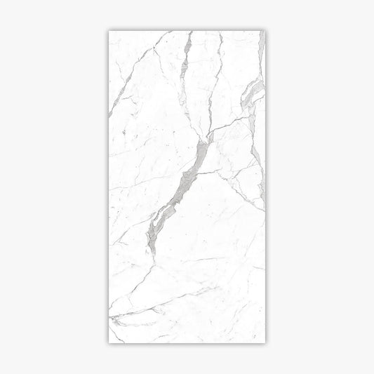 Calacatta Pearl 24x48 Polished