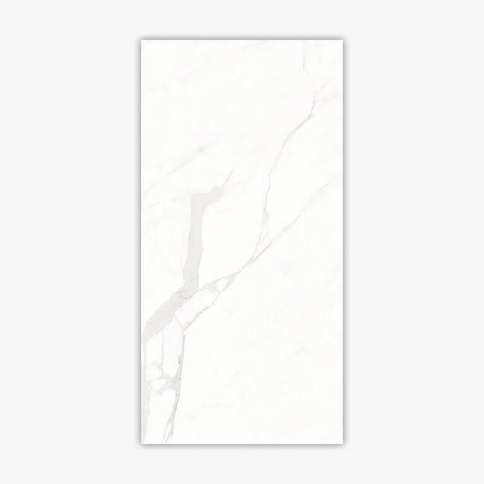 Calacatta Suave 24x48 Polished