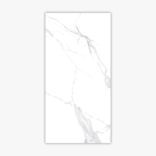 Calacatta White 24x48 Matte