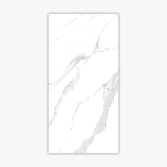 Calacatta White 24x48 Polished