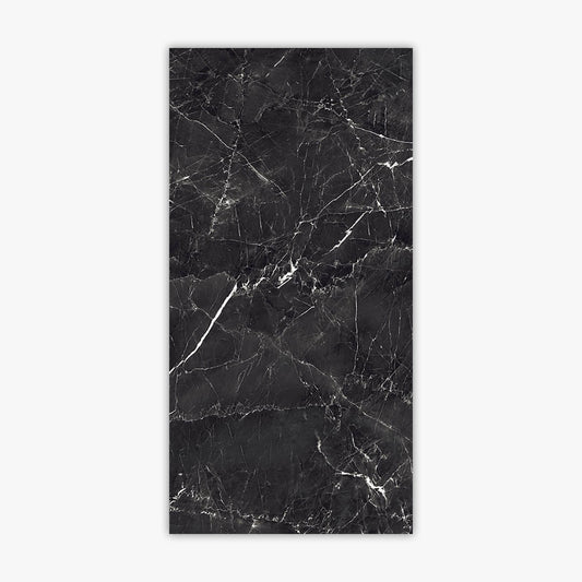 Charcoal Black 24x48 Polished