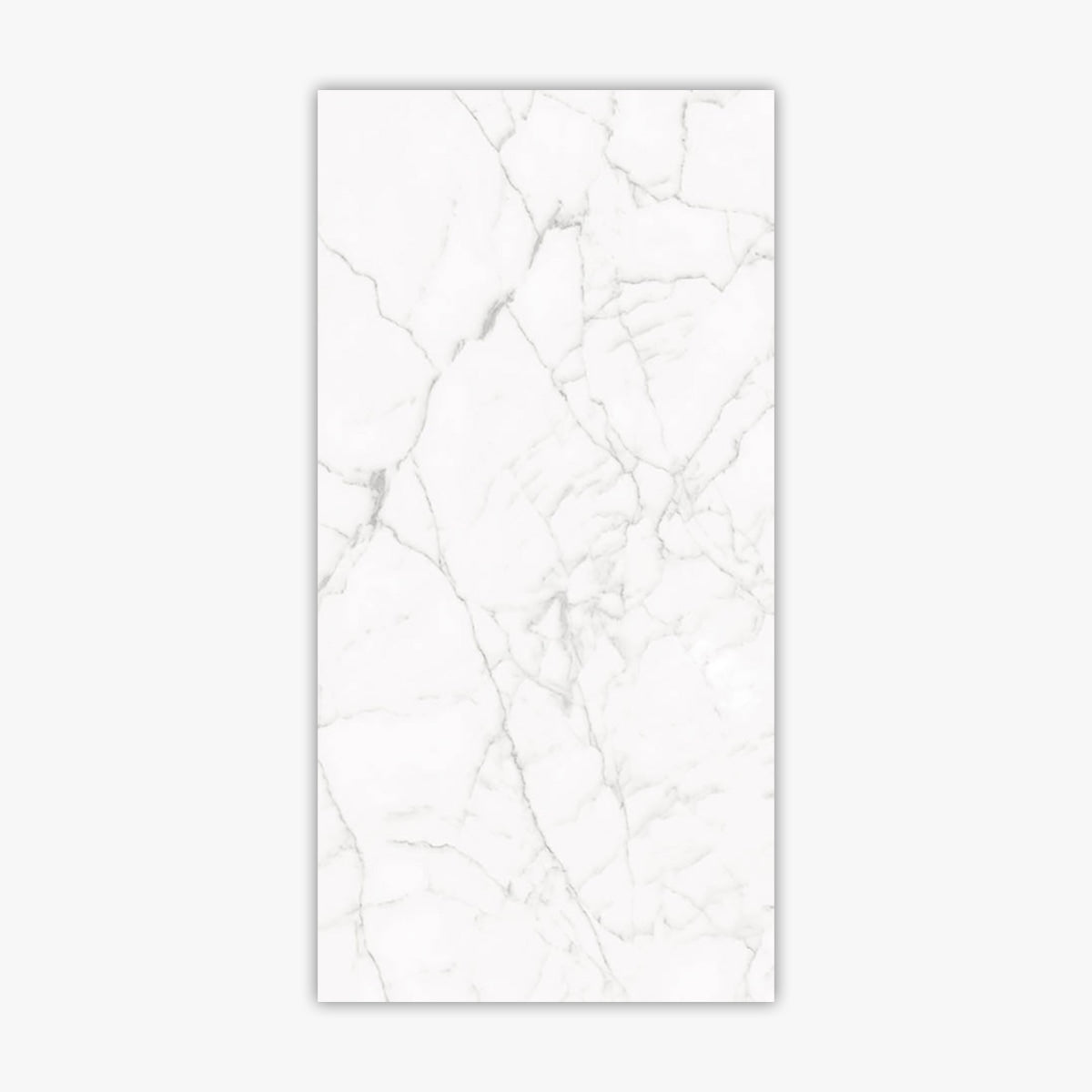 Core White 24x48 Polished