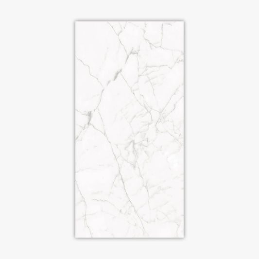 Core White 24x48 Polished
