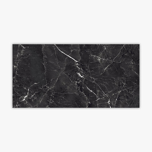 Charcoal Black 24x48 Polished