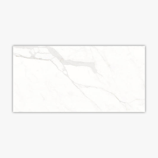 Calacatta Suave Polished 24x48