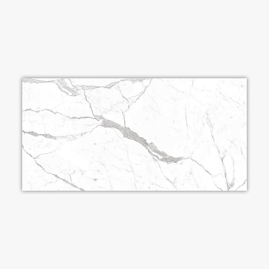 Calacatta Pearl 24x48 Polished