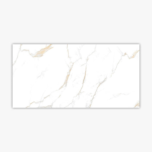 Calacatta Gold Polished 24x48