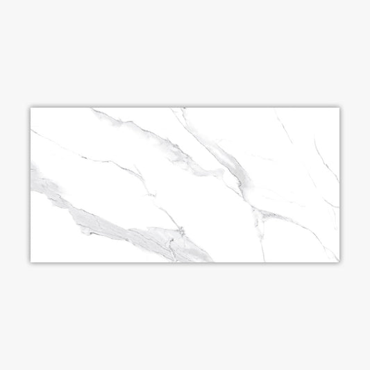 Calacatta White Polished 24x48