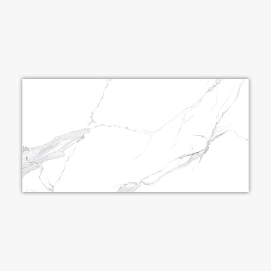 Calacatta White Matte 24x48