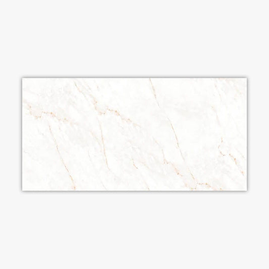 Calacatta Glam Polished 24x48