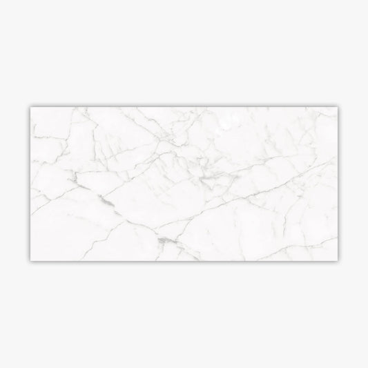 Core White Polished 24x48