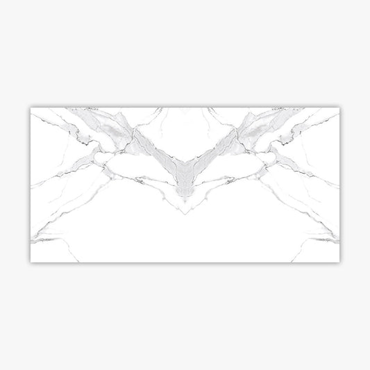 Calacatta White 24x48 Polished