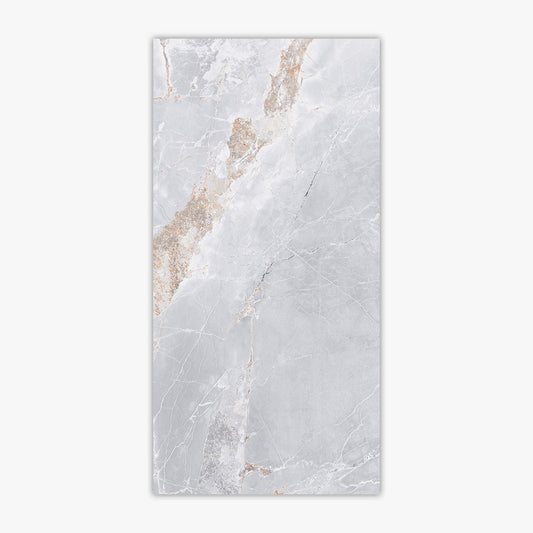 Metallo Light Gray 24x48 Polished