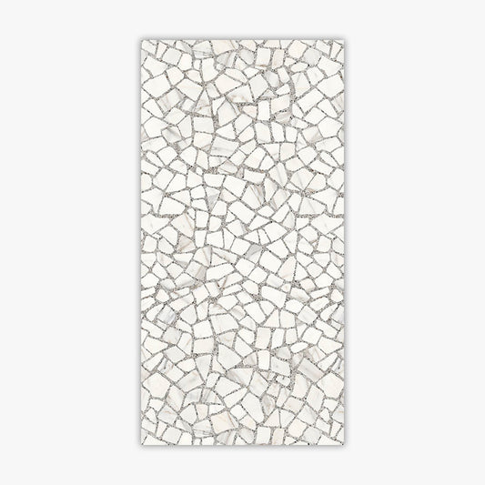 Marble 24x48 Special Effect