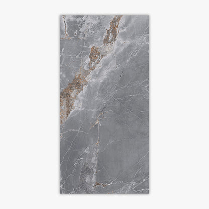 Metallo Grey 24x48 Polished